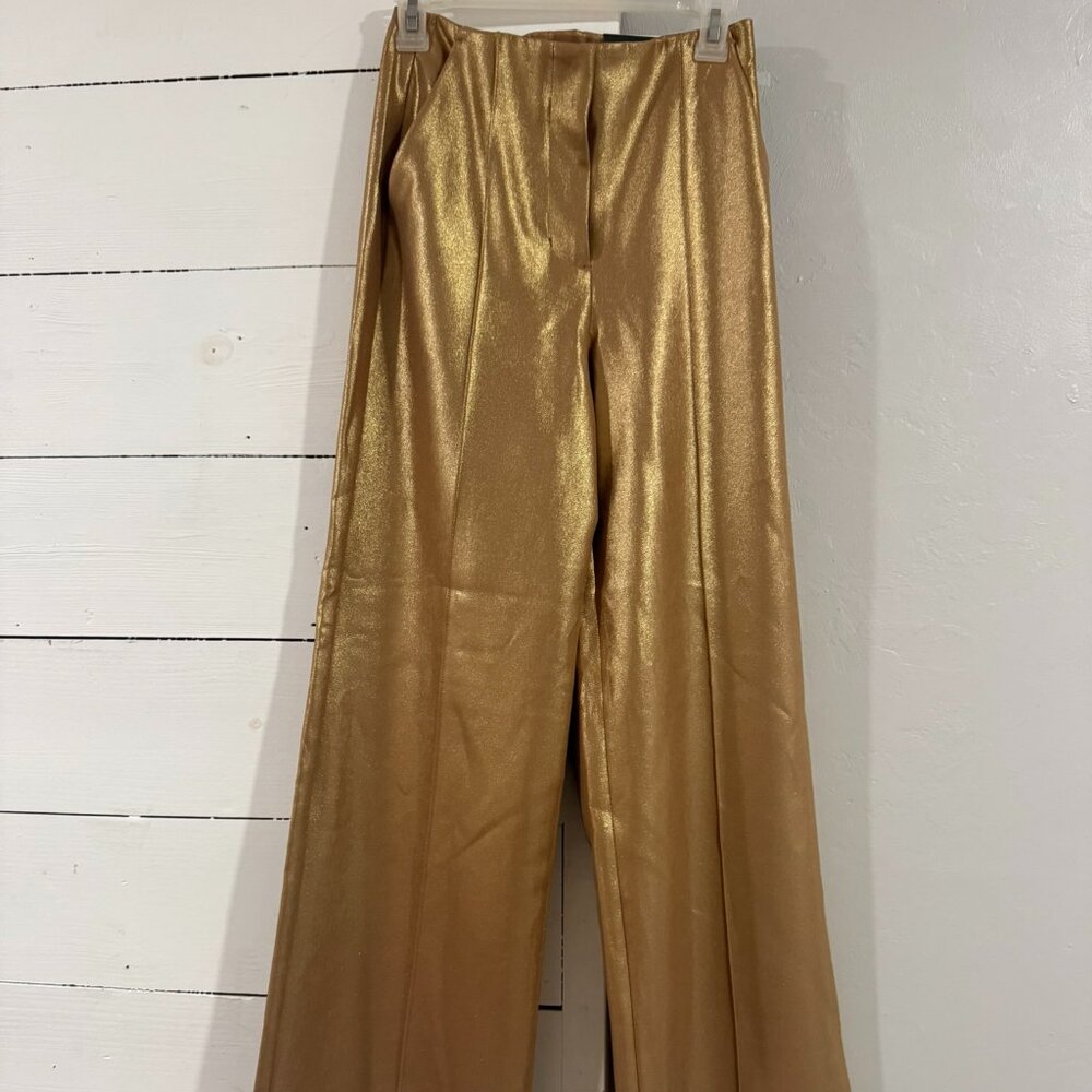 NWT Express OL Pants
